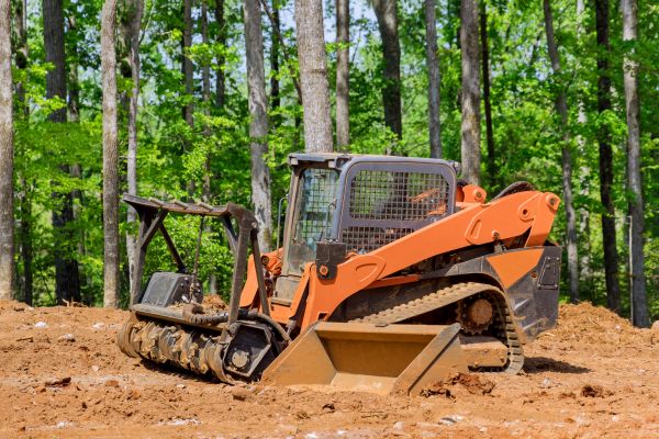 Bulldozer Land Leveling in Panama City Beach