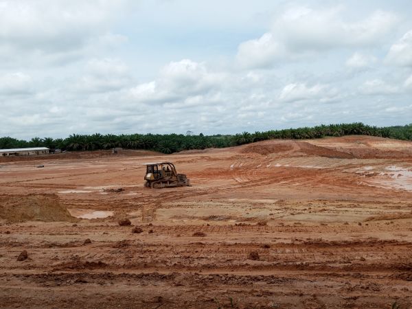 Land Preparation Service in Panama City Beach